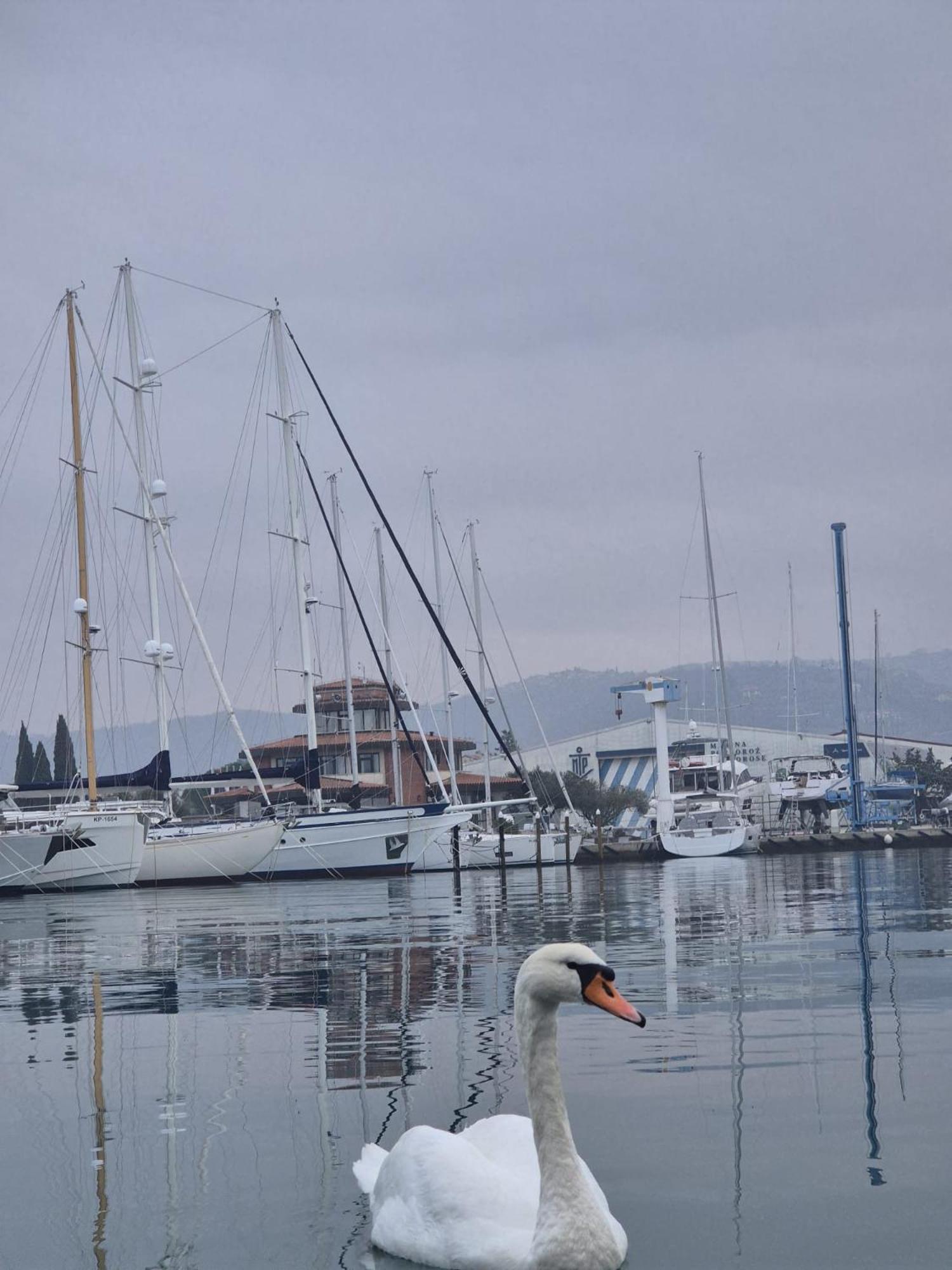 Floating Sea House Aurora Villa Portoroz Luaran gambar
