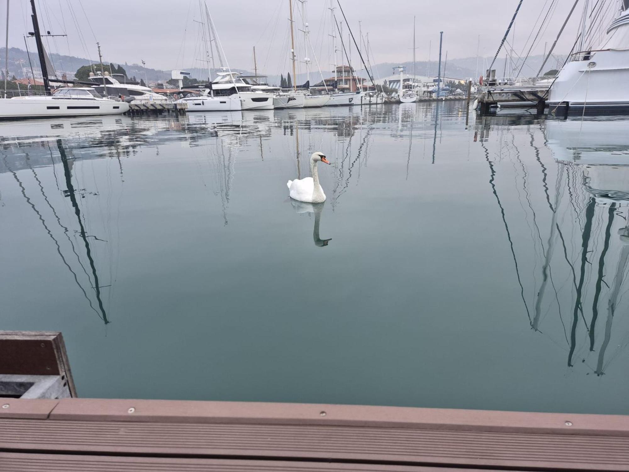 Floating Sea House Aurora Villa Portoroz Luaran gambar